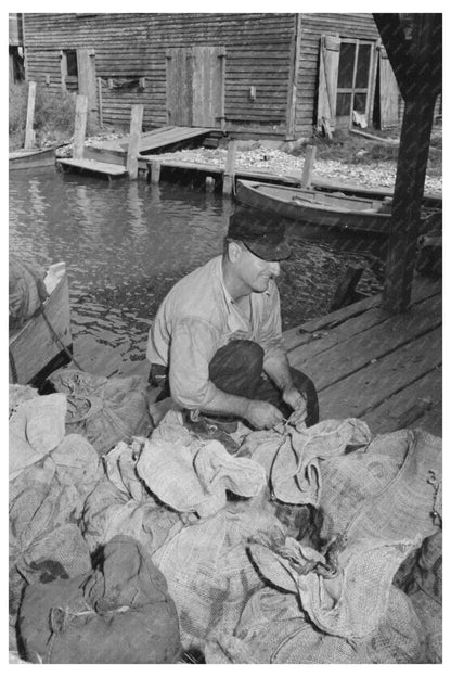 Oyster Harvesting in Olga Louisiana September 1938