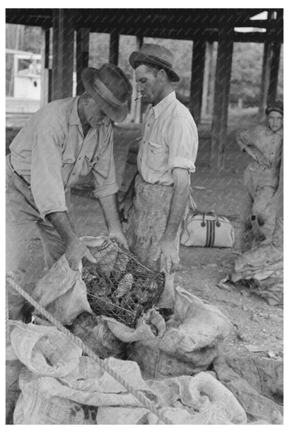 Oyster Workers in Olga Louisiana September 1938