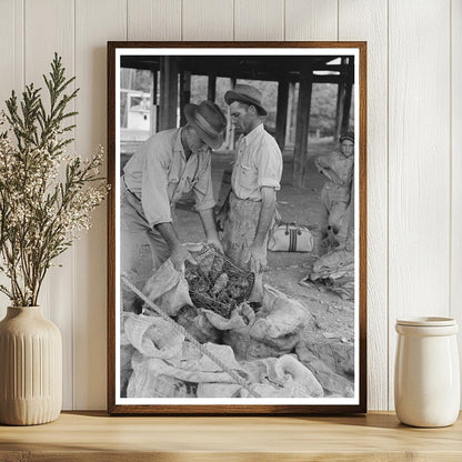 Oyster Workers in Olga Louisiana September 1938