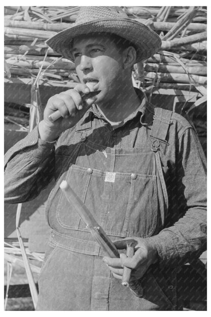 Sugarcane Worker Louisiana October 1938 FSA/OWI Collection