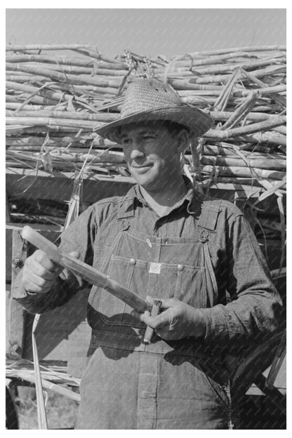 Vintage Sugarcane Workers Louisiana October 1938 Photo