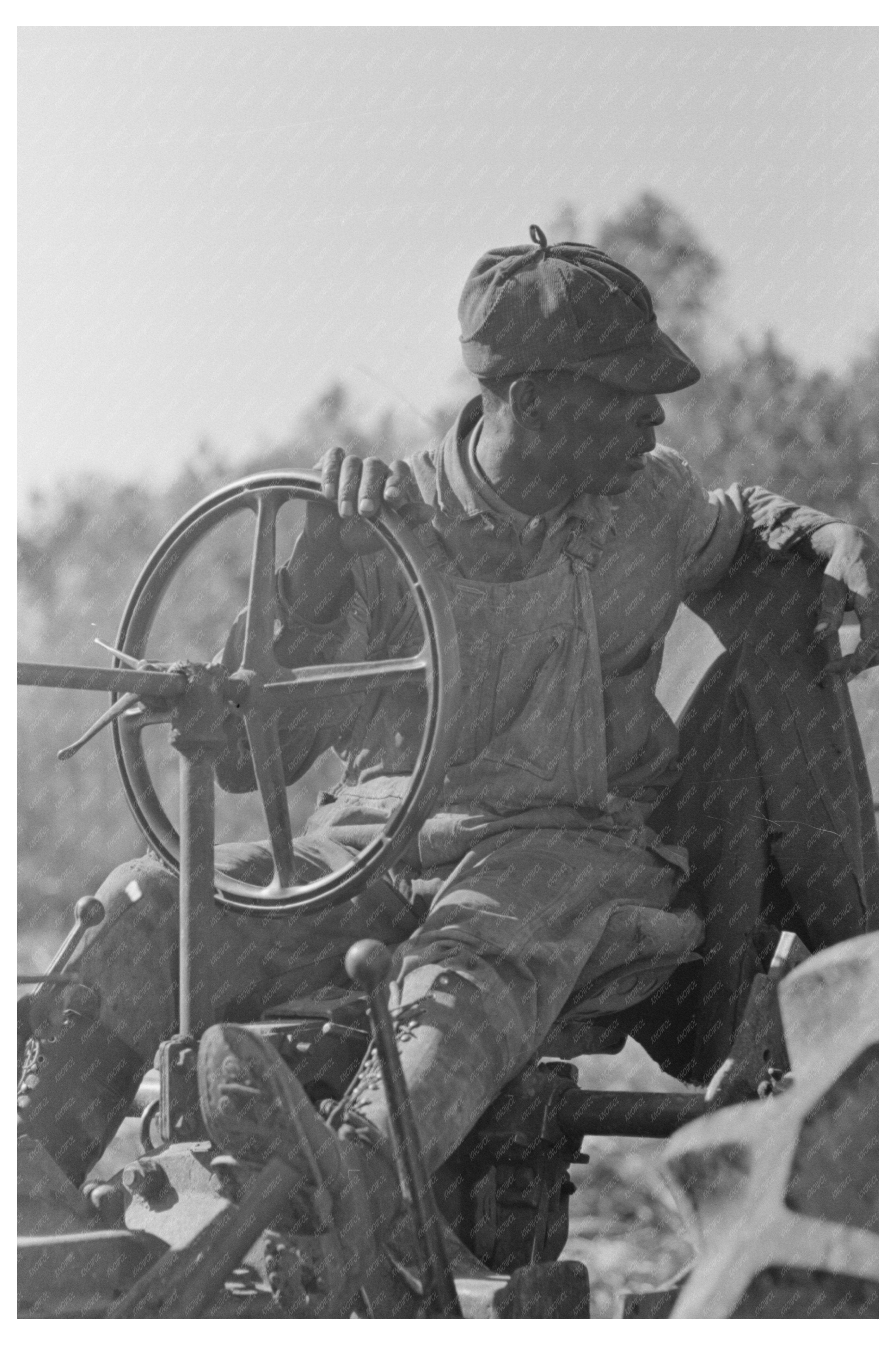 Loading Sugar Cane in New Iberia Louisiana 1938