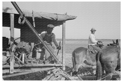 Vintage Sugarcane Loading Louisiana October 1938 Photo Negative