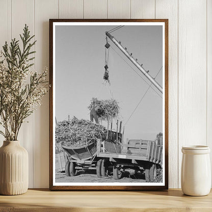 Workers Unloading Sugarcane at Louisiana Sugar Mill 1938