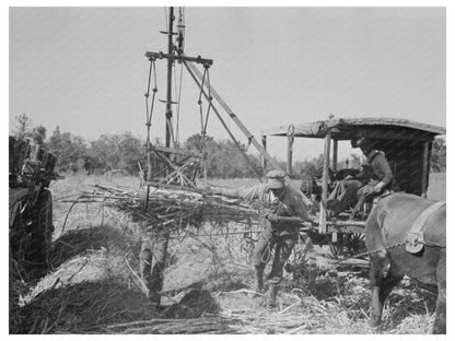 Sugarcane Unloading Truck Louisiana October 1938