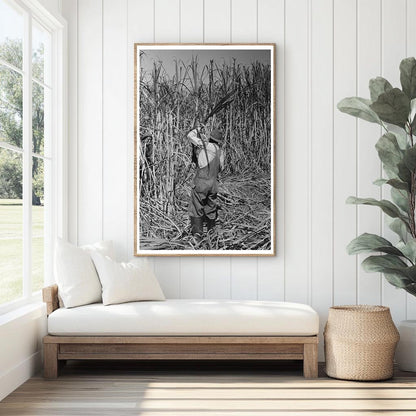 Sugarcane Harvesting in New Iberia Louisiana 1938