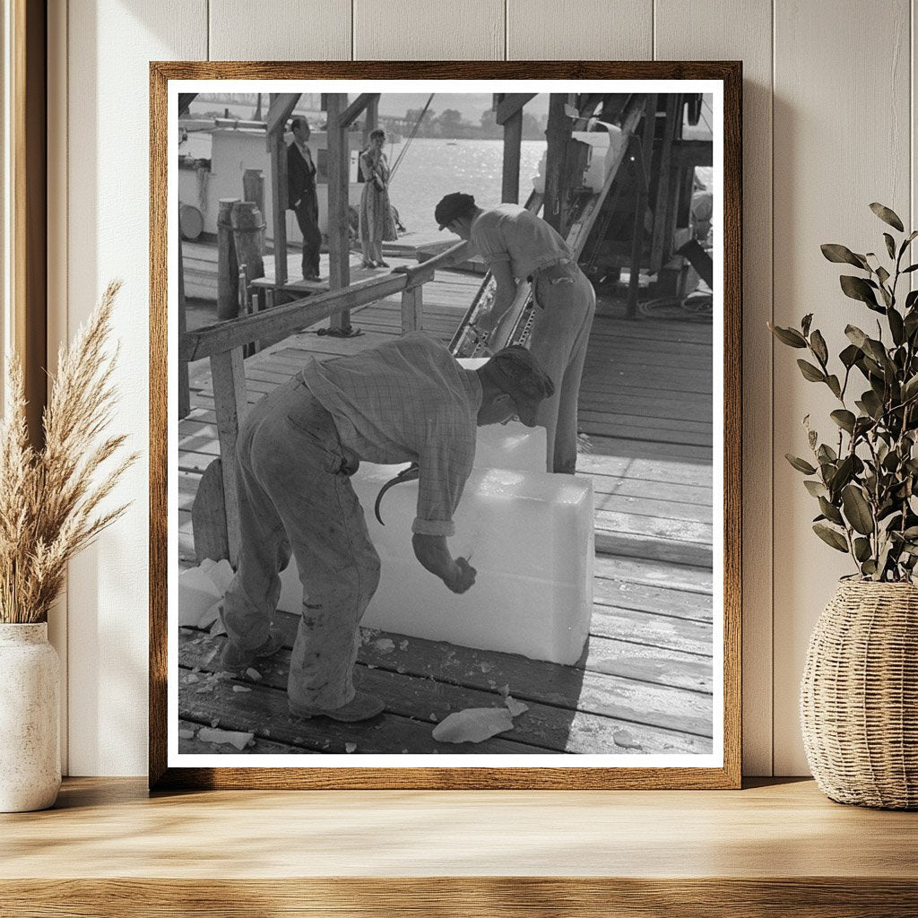 Chopping Ice for Shrimp Boats Morgan City Louisiana 1938