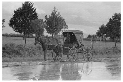 Vintage Buggy on Louisiana Highway October 1938