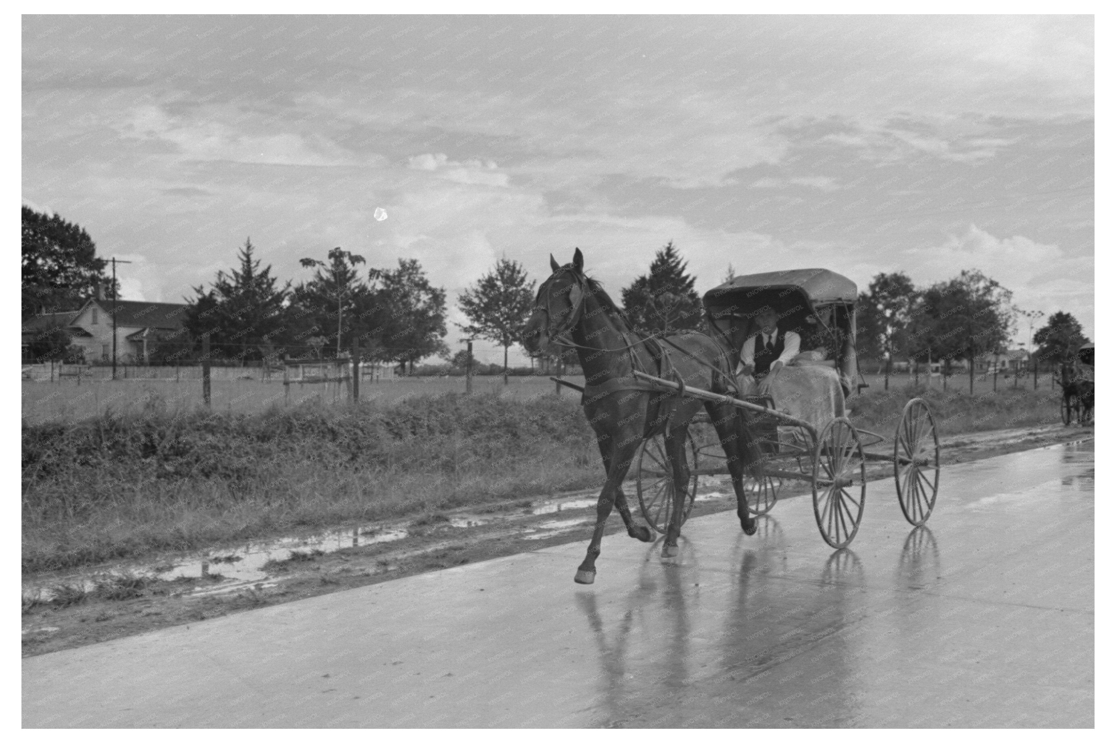 Vintage Buggy on Highway Lafayette Louisiana 1938