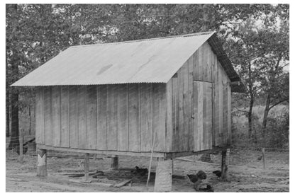 Vintage Shed on Stilts Amite Louisiana 1938