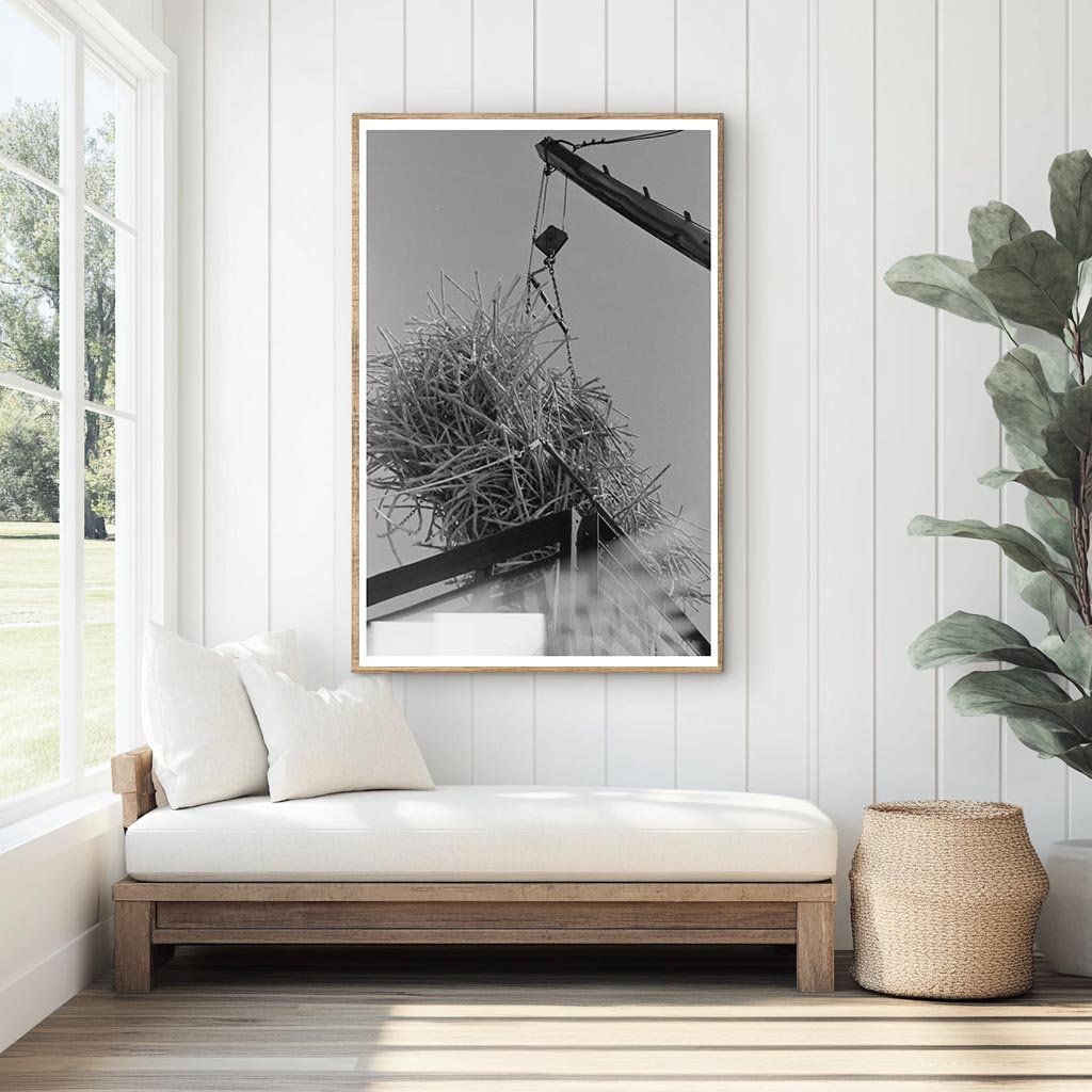 Sugarcane Loading on Railroad Car Broussard Louisiana 1938