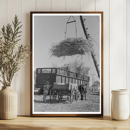 Sugarcane Loading in Broussard Louisiana 1938