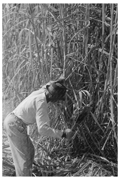 Sugarcane Cutter and Waterboy in Louisiana 1938