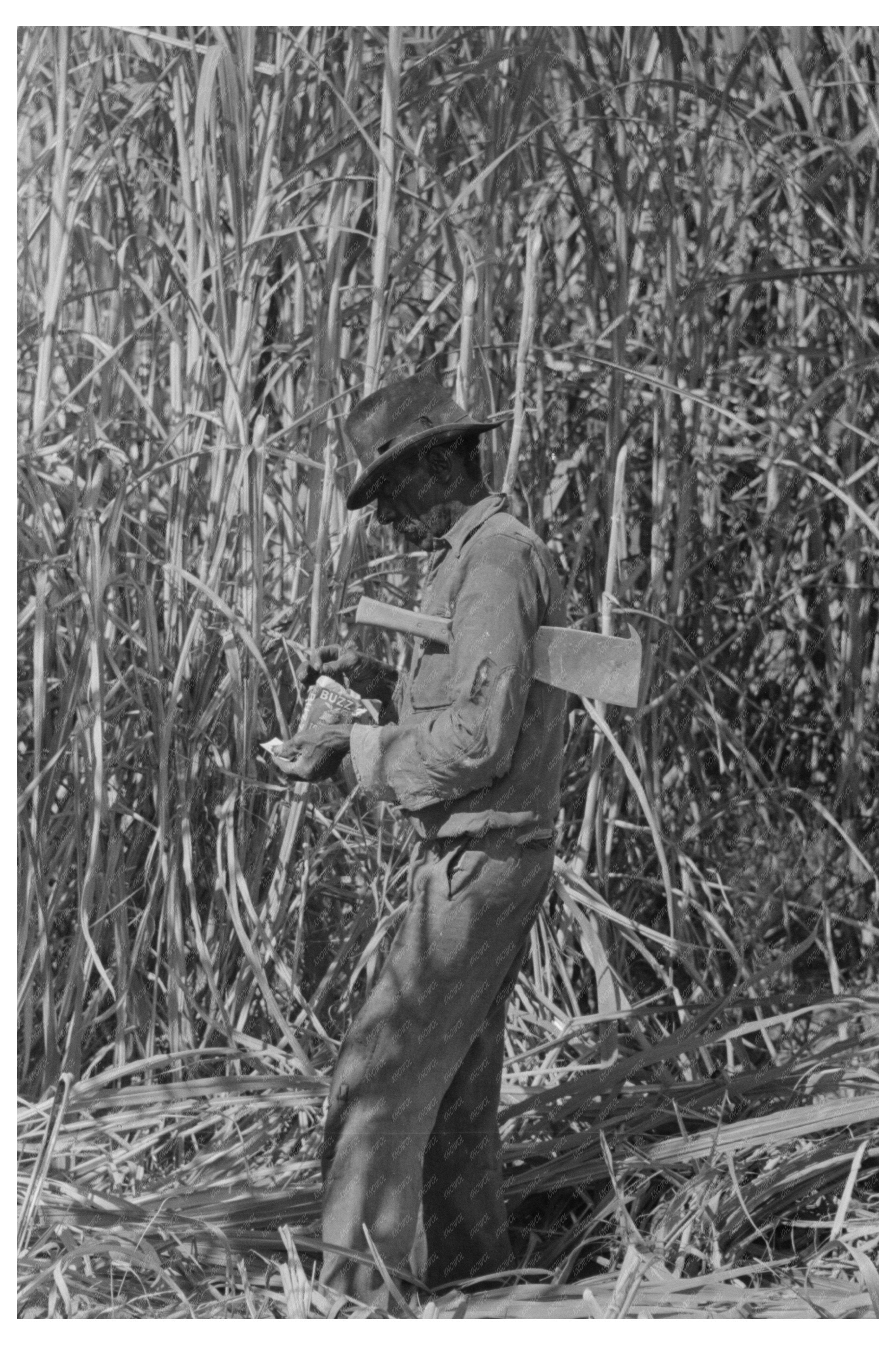 Sugarcane Cutter Rolling Cigarette Louisiana 1938