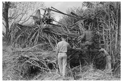 Wurtele Sugarcane Harvester Stuck in Mix Louisiana 1938