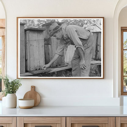 William E Smith inspecting beehives Louisiana 1938