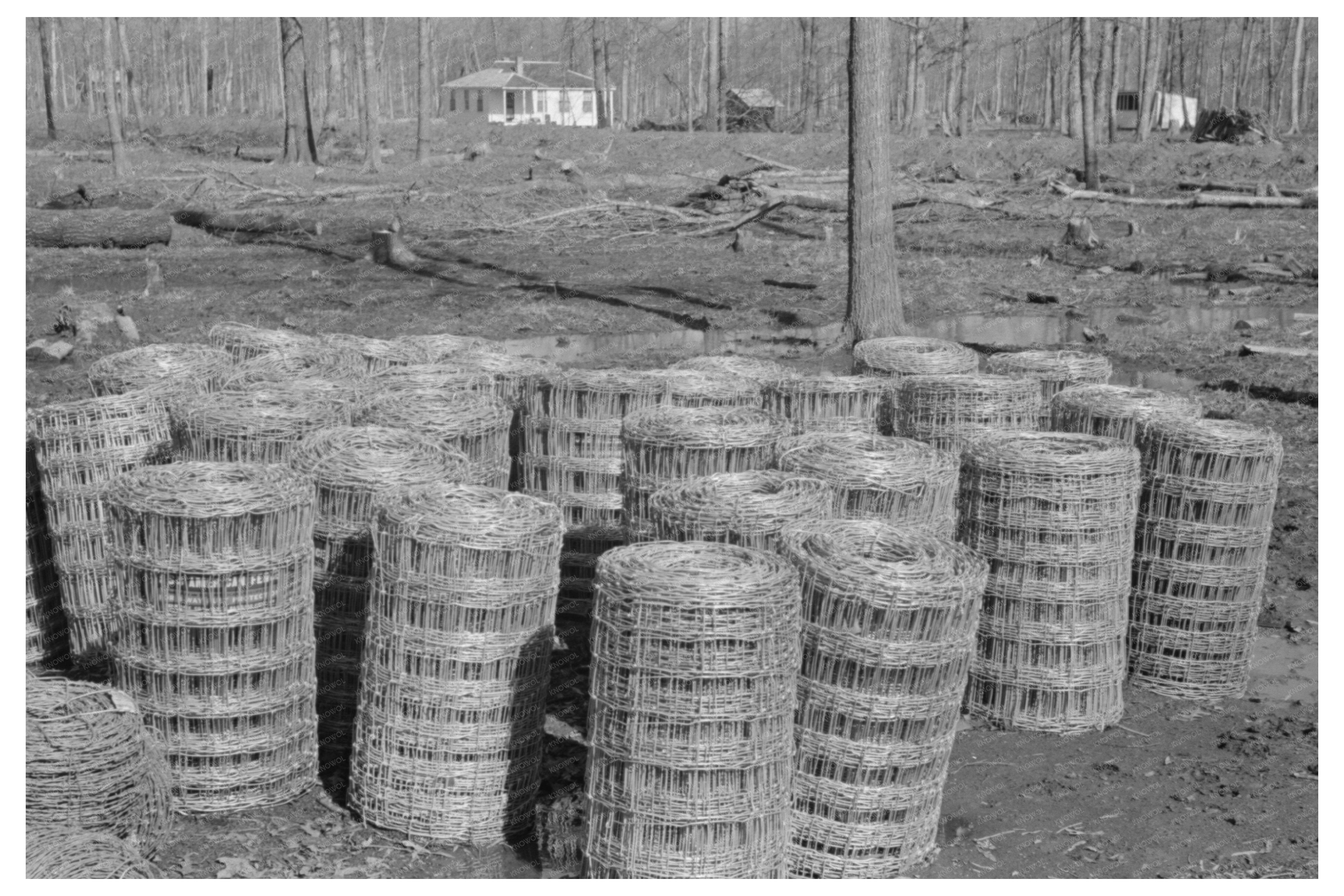 Woven Wire Fencing at Chicot Farms Arkansas January 1939