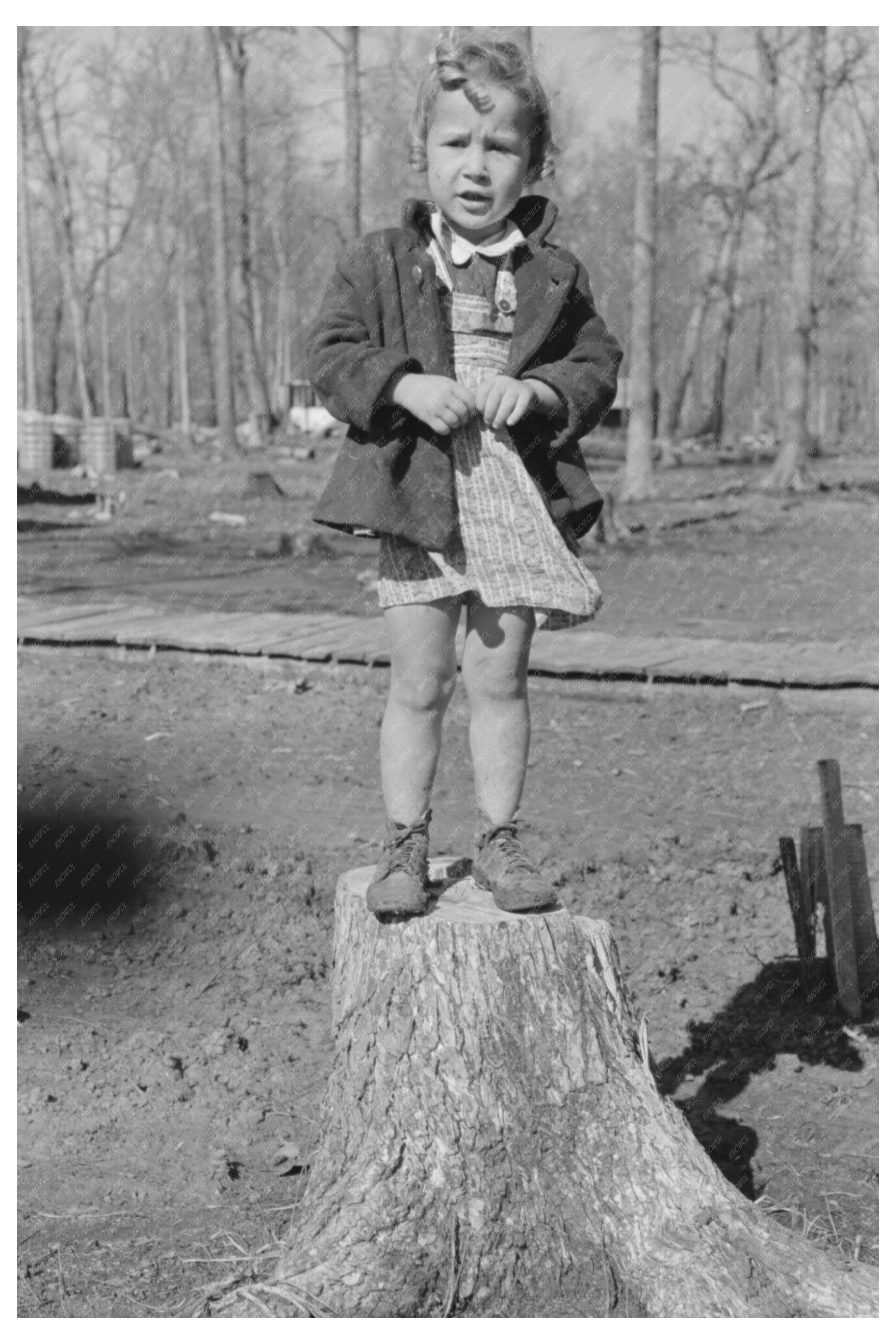 Young Girl at Chicot Farms Arkansas January 1939