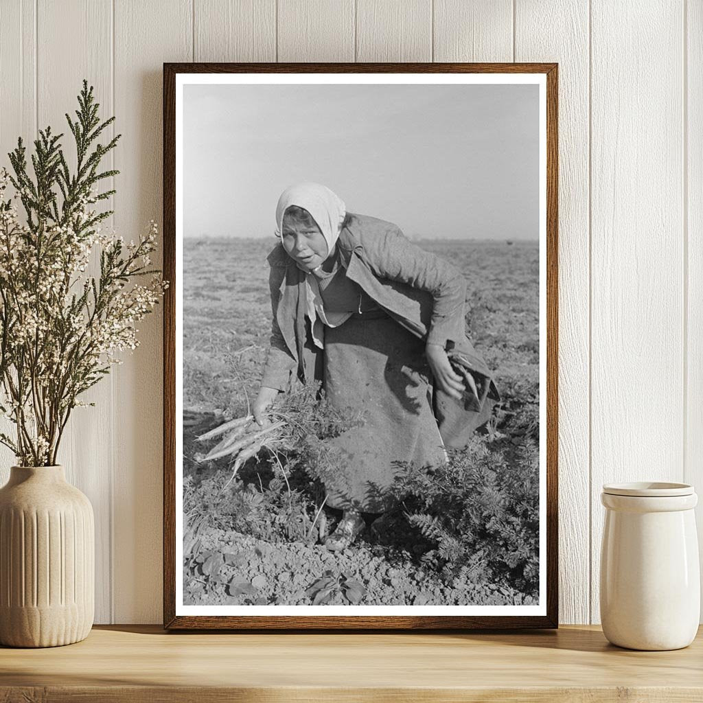 Mexican Girl Carrot Puller Edinburg Texas February 1939