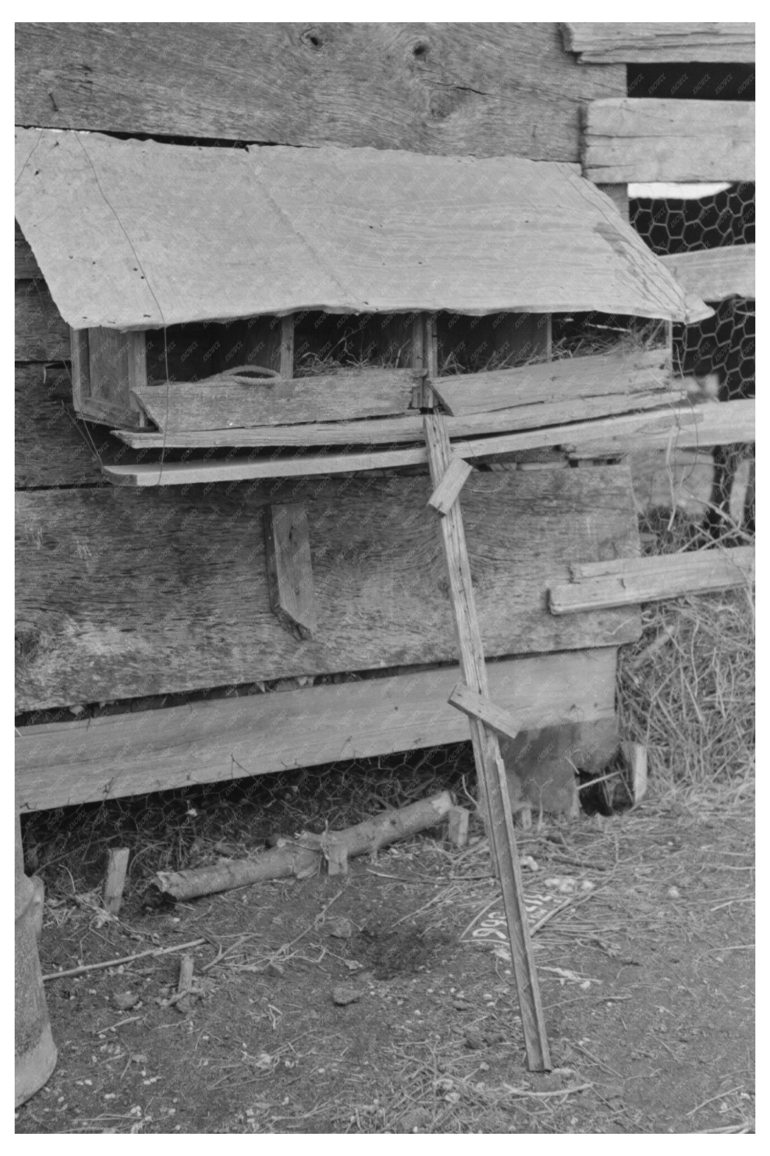 Hen Nests at Sharecroppers Cabin Pace Mississippi 1939