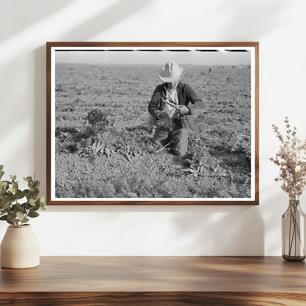 Carrot Workers Tying Bunches in Texas February 1939