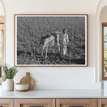 Young Girl and Calf in Rural Texas February 1939