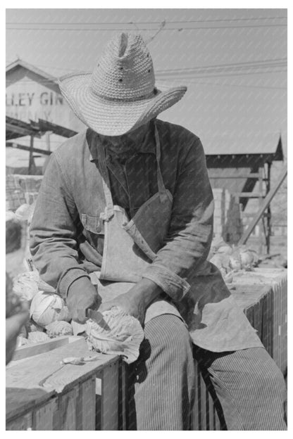 Cabbage Workers at Vegetable Packing Plant February 1939