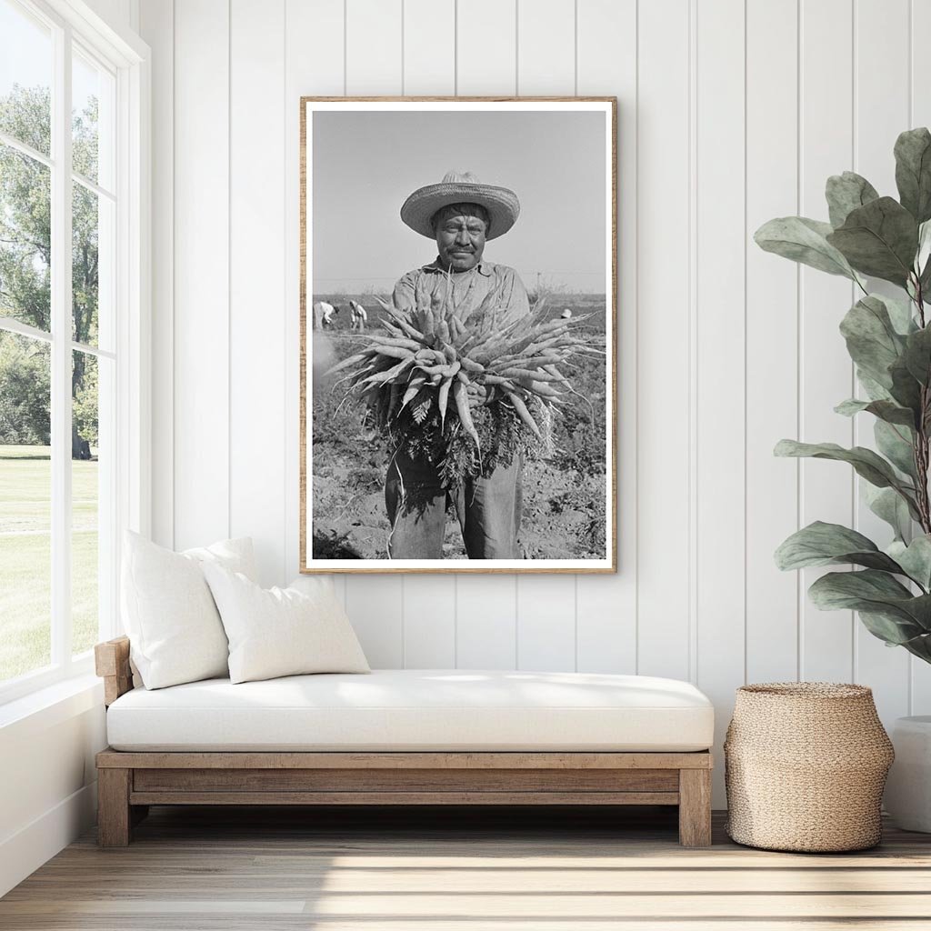 Mexican Laborer Harvesting Carrots Edinburg Texas 1939