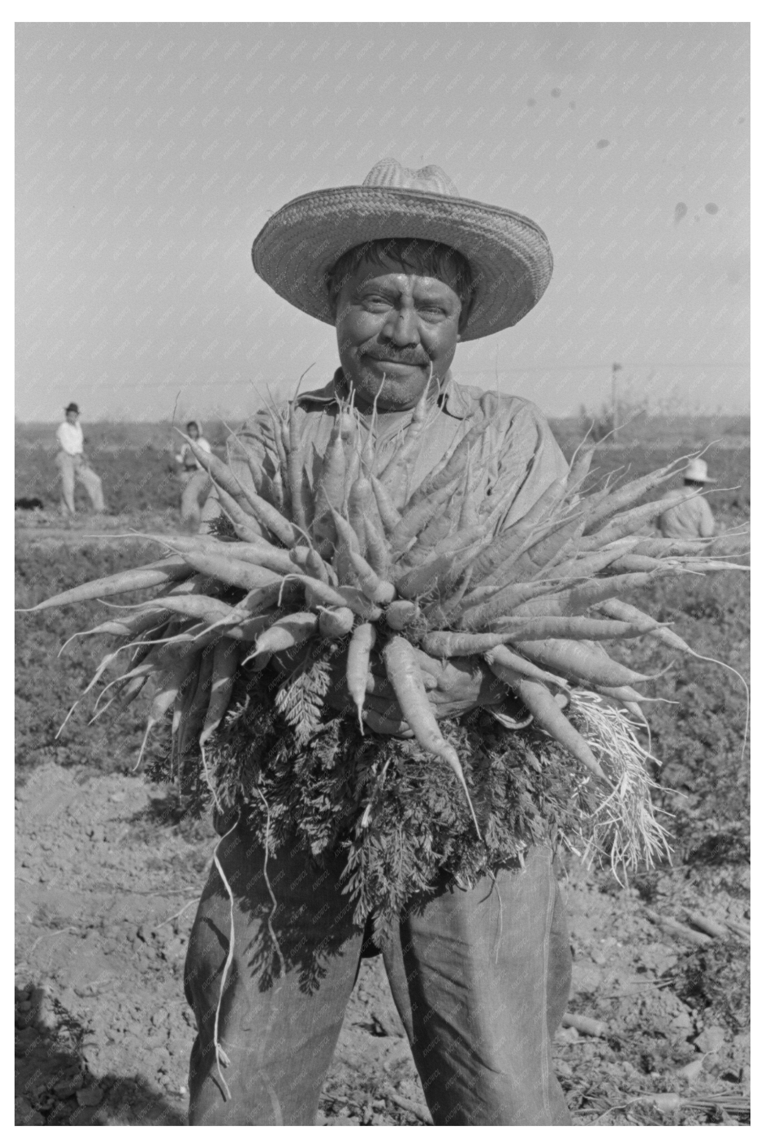 Mexican Carrot Worker Edinburg Texas 1939