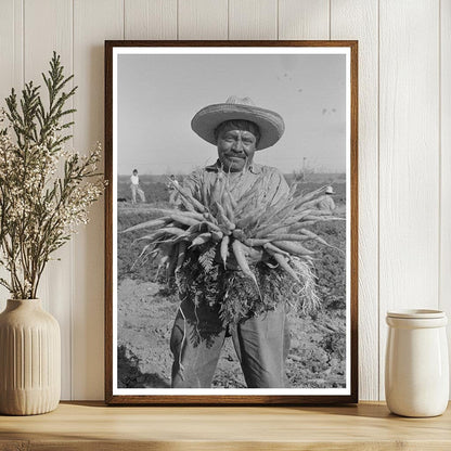 Mexican Carrot Worker Edinburg Texas 1939