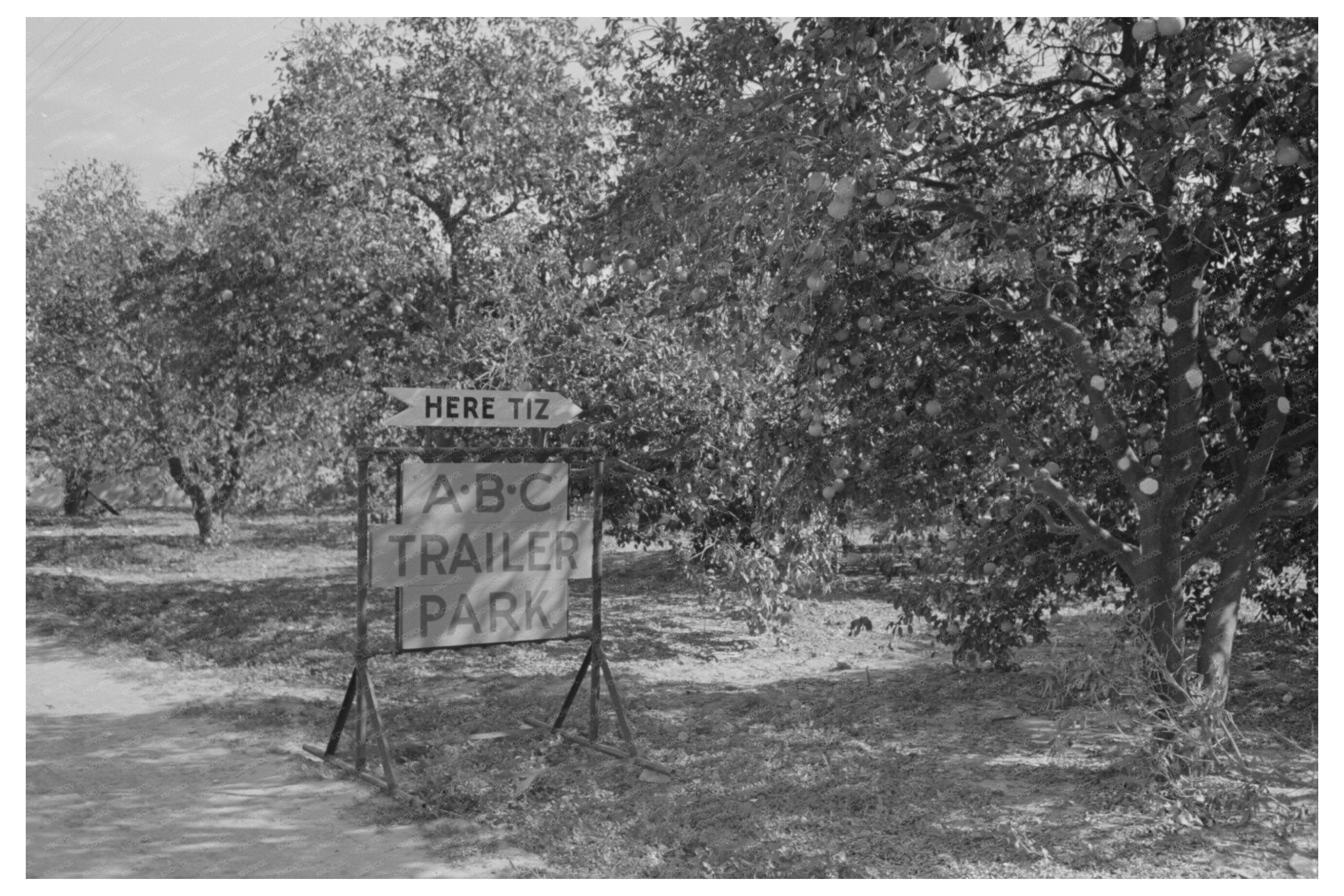 Trailer Park Entrance in McAllen Texas February 1939