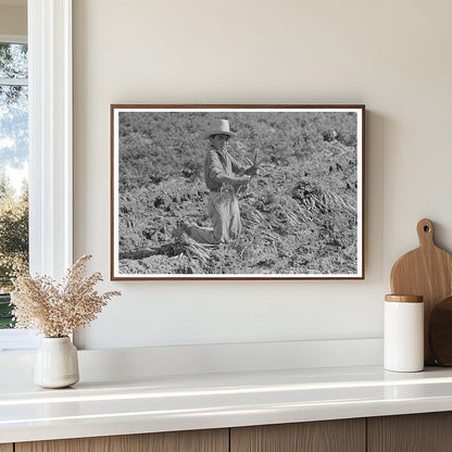 Vintage 1939 Photo of Mexican Boy Bunching Carrots Texas