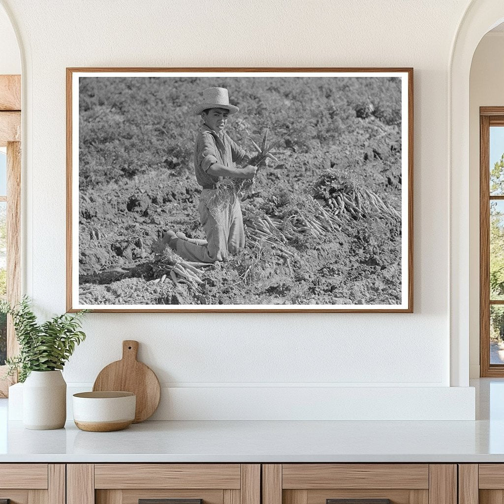 Vintage 1939 Photo of Mexican Boy Bunching Carrots Texas