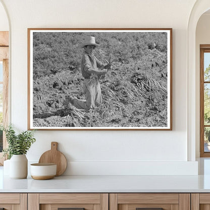 Vintage 1939 Photo of Mexican Boy Bunching Carrots Texas