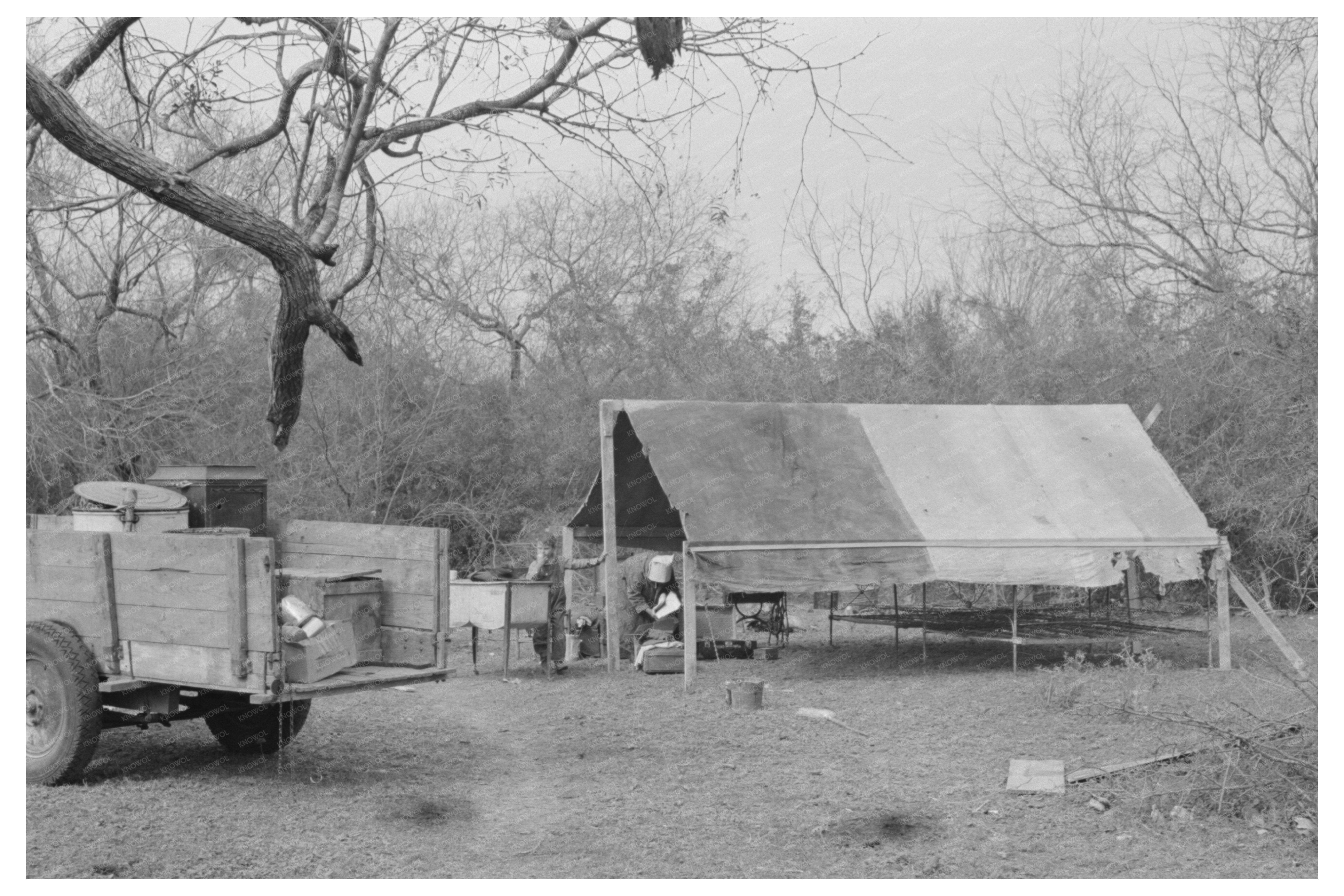 Tent Home Setup in Harlingen Texas February 1939