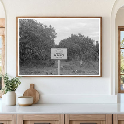 Citrus Grove Sign San Juan Texas Grapefruit Picking 1939