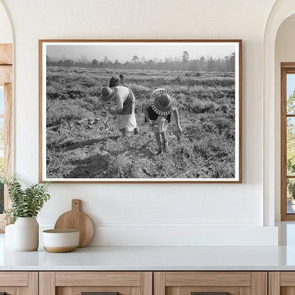 Children Harvesting Sweet Potatoes Mississippi 1938