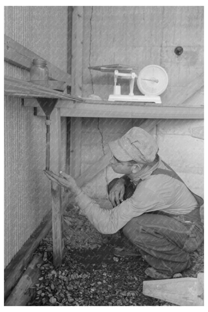 Sweet Potato Dirt Test Laurel Mississippi 1938