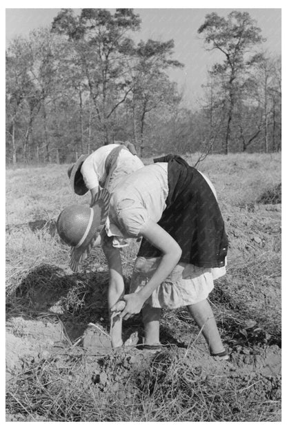 Children of Sharecroppers with Sweet Potatoes 1938