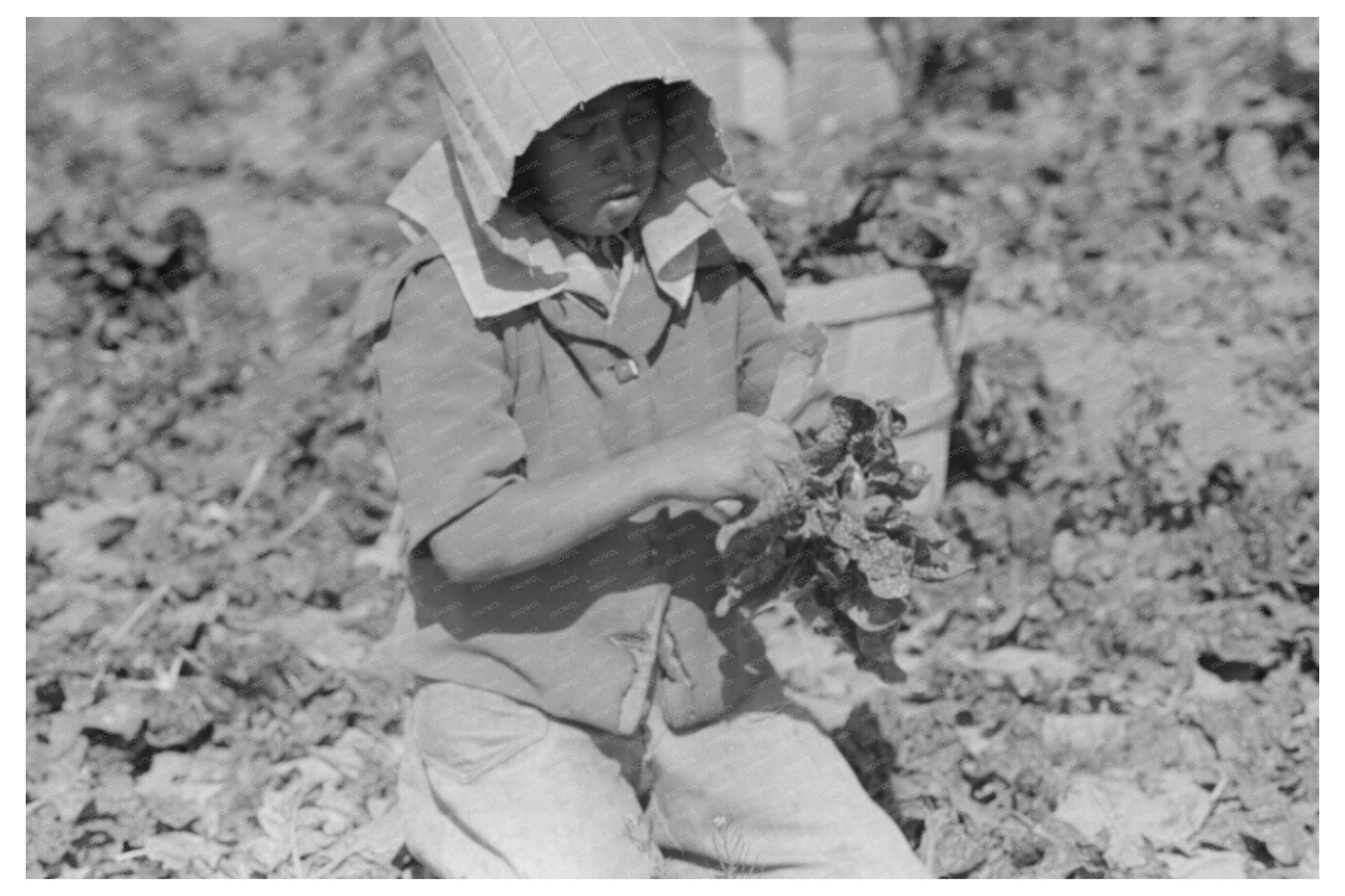 Mexican Spinach Cutter Inspects Crop in La Pryor 1939