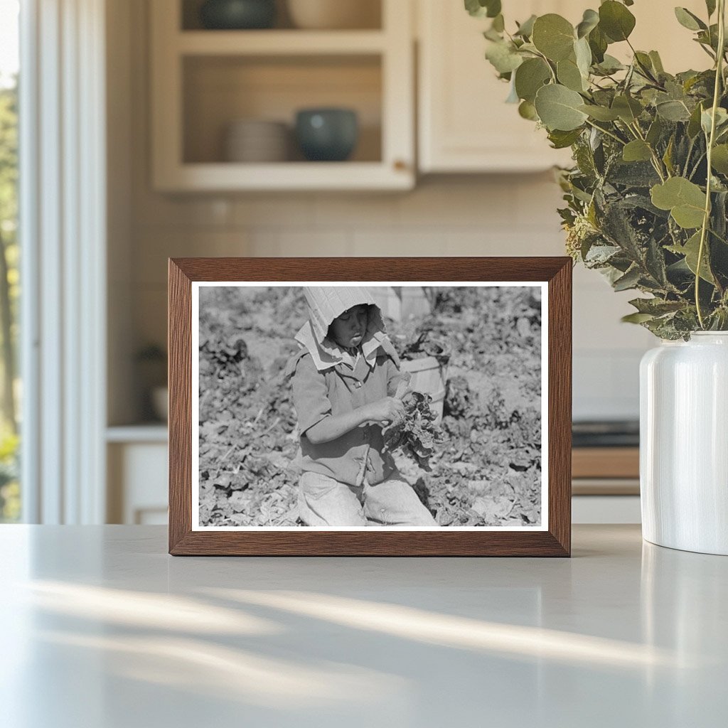 Mexican Spinach Cutter Inspects Crop in La Pryor 1939