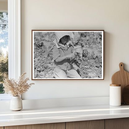 Mexican Spinach Cutter Inspects Crop in La Pryor 1939