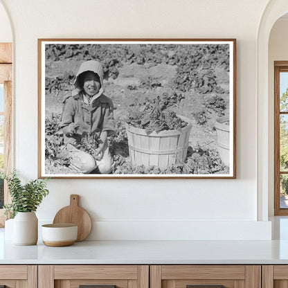 Mexican Girl Cutting Spinach La Pryor Texas 1939