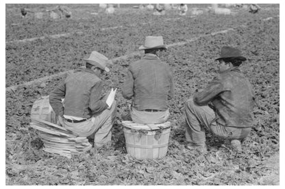 Mexican Field Bosses Supervise Spinach Harvest Texas 1939