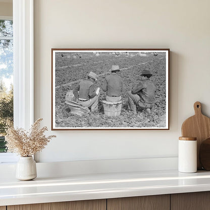 Mexican Field Bosses Supervise Spinach Harvest Texas 1939