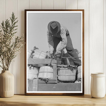 Workers Securing Spinach Baskets La Pryor Texas 1939