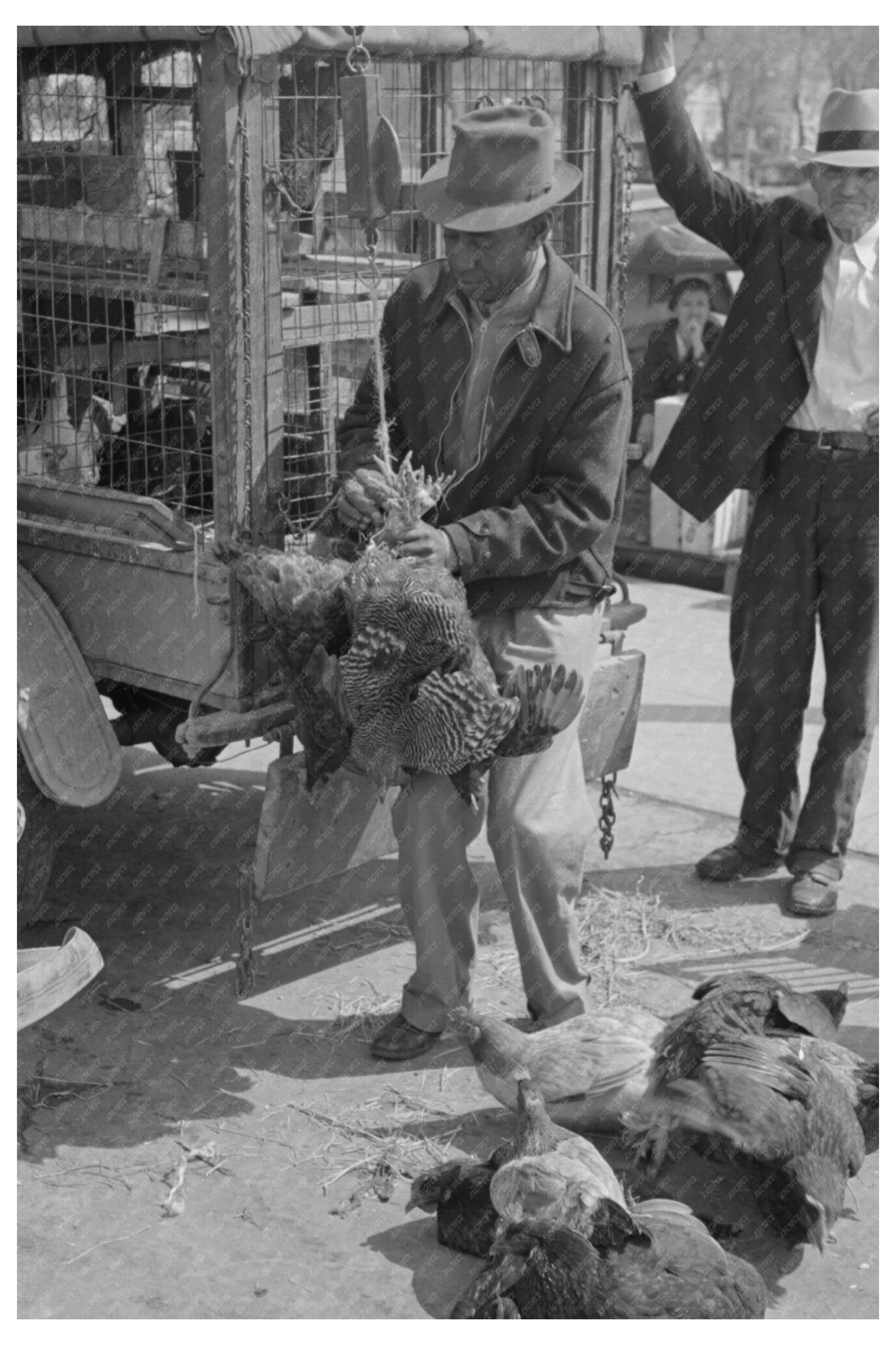 Weighing Chickens at San Antonio Market March 1939