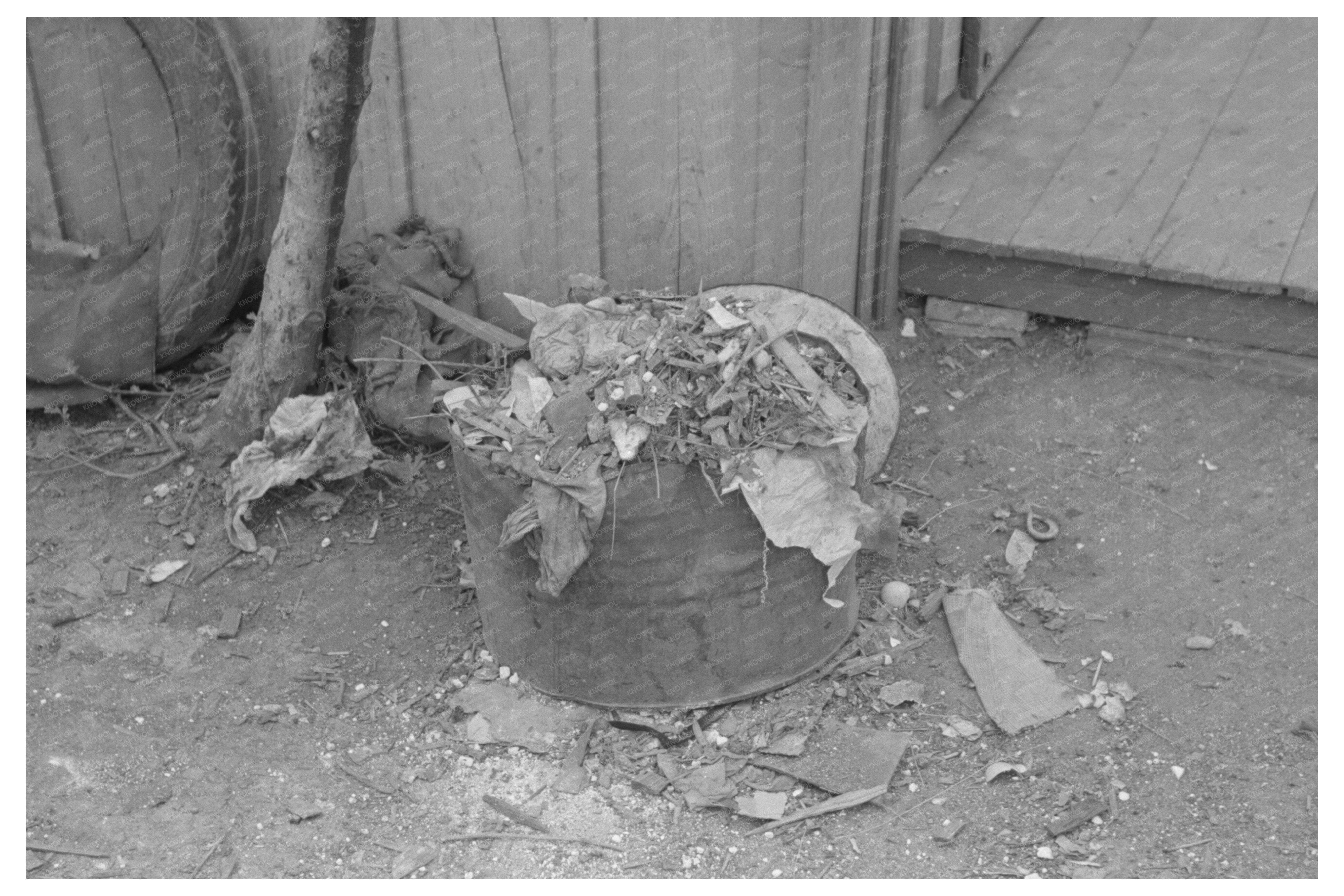 Vintage Backyard Scene San Antonio Texas 1939