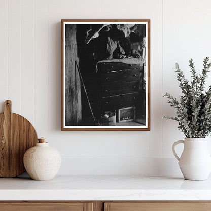 1939 Vintage Photograph of Privy in San Antonio Texas