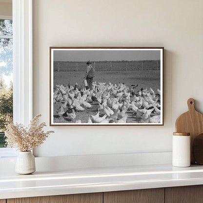 Ernest Milton Feeding Chickens El Indio Texas March 1939